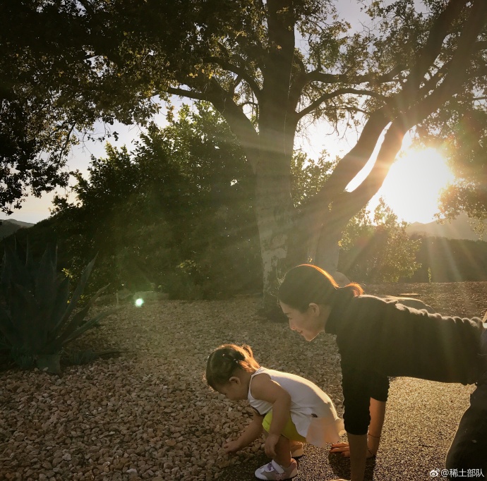 章子怡与女儿捡石子玩 夕阳下露会心微笑